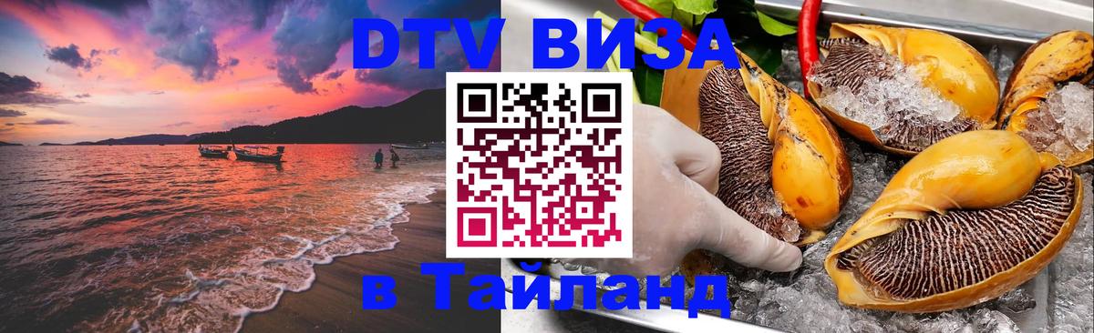 Сколько стоит DTV виза — актуальные цены, оформление даже без документов - 20.11.2025 